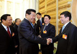 賈慶林參加臺(tái)灣代表團(tuán)審議