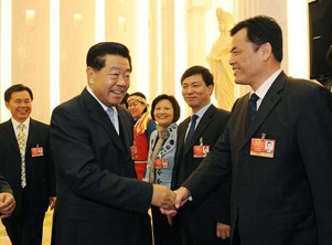 賈慶林參加臺(tái)灣代表團(tuán)審議