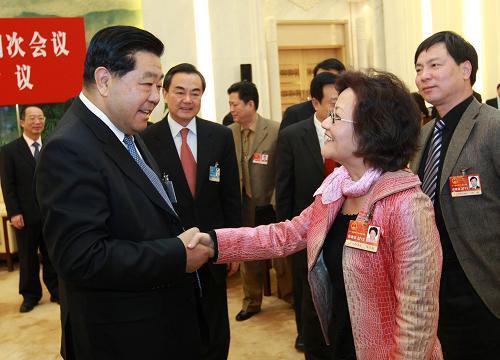 賈慶林參加臺(tái)灣代表團(tuán)審議