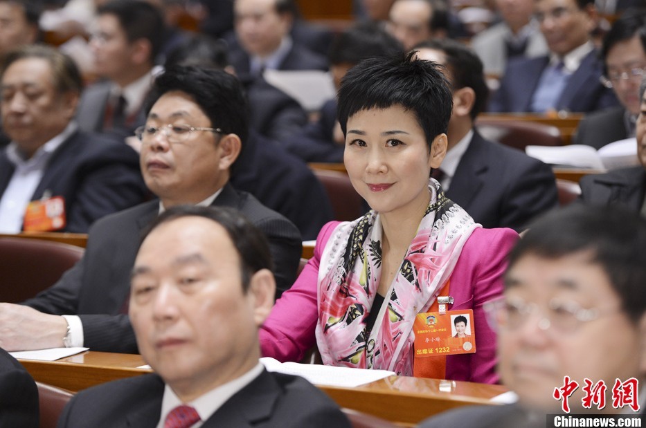 3月3日，全國政協(xié)十二屆一次會議在北京人民大會堂隆重開幕，全國政協(xié)委員李小琳出席會議。中新社發(fā) 廖攀 攝