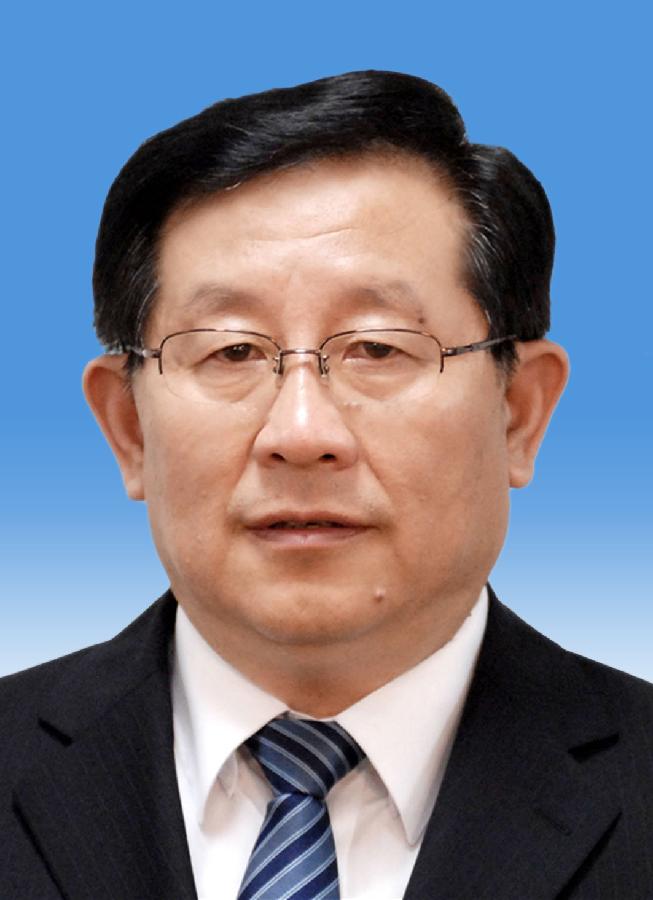 中國人民政治協(xié)商會議第十二屆全國委員會副主席萬鋼 新華社發(fā)